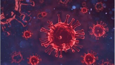اثر امیدبخش یک داروی ضد انگل در مهار کرونا ویروس