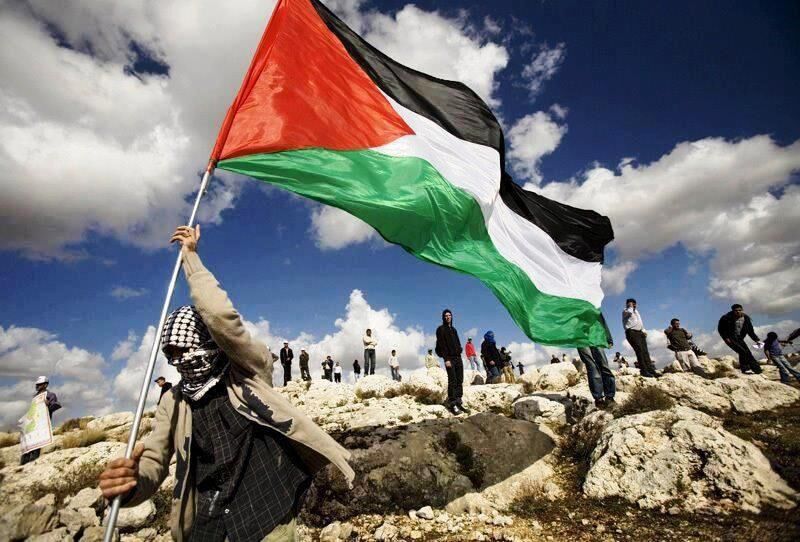 درخواست فلسطین