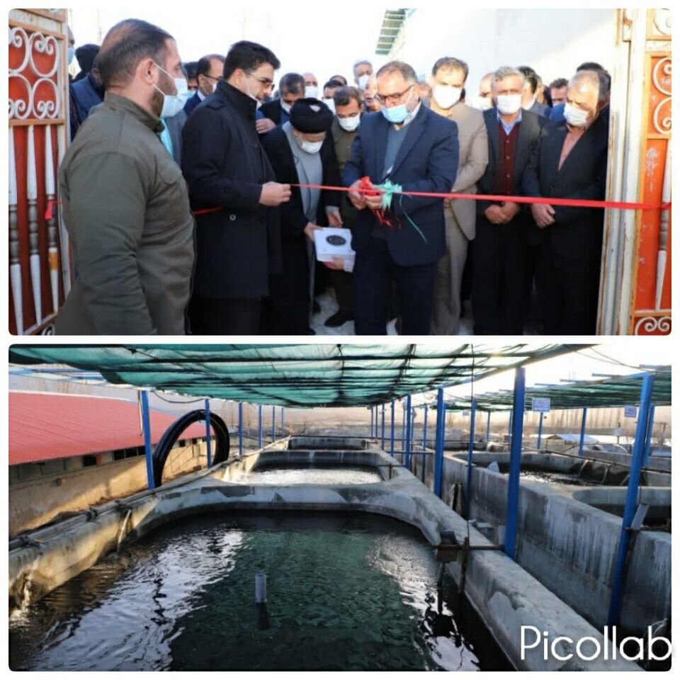 پرورش ماهیان خاویار لرستان