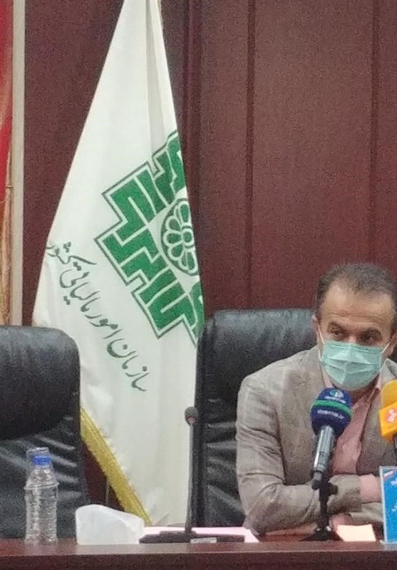 معاون سازمان مالیاتی