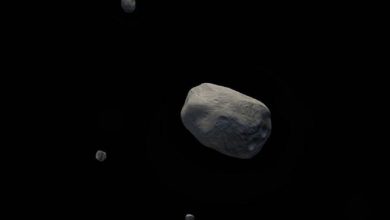 کشف اولین سیارک