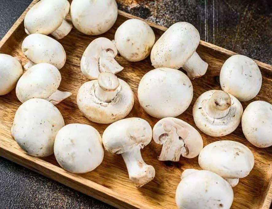 مصرف قارچ خوراکی