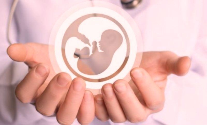 هزینه IVF