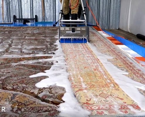 قالیشویی داران مشهد