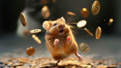 توکن همستر کامبت (HMSTR$) در بازار پیش از عرضه صرافی Gate.io