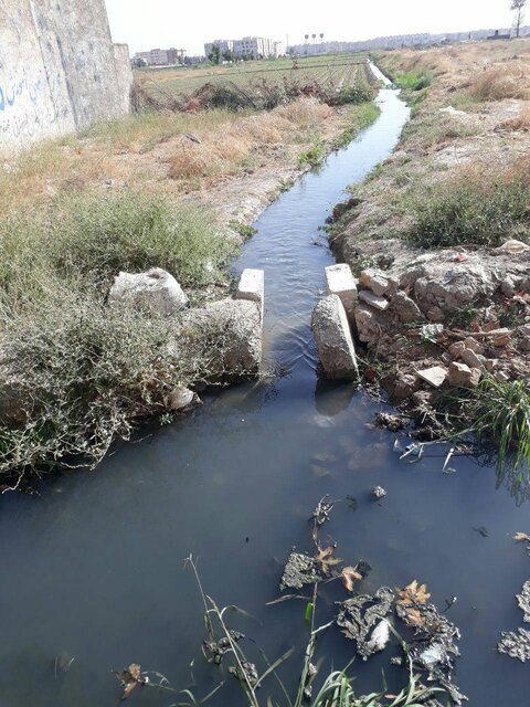اینجا بیماری میکارند!